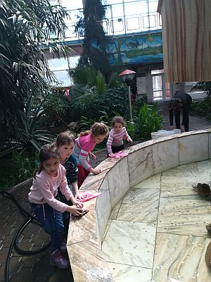 IMG 20180420 111732